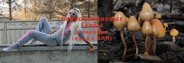 ешки Абинск