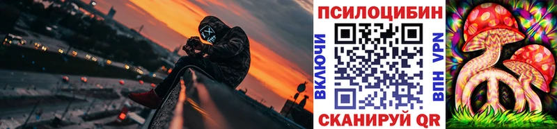 Псилоцибиновые грибы Cubensis Калининград