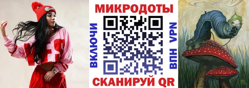 наркота  Калининград  Псилоцибиновые грибы Psilocybe 